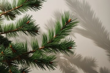 Obraz premium Artistic Pine Tree Branches with Shadow Effects on Clear Backgrounds