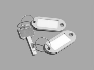 Keychain With Two Blank Tags