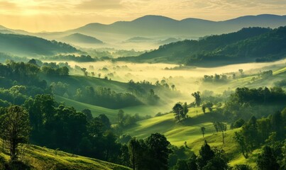 Obraz premium A picturesque landscape of rolling hills and valleys, bathed in the warm glow of sunrise, with a veil of mist clinging to the ground.