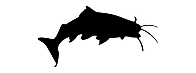 silhouette catfish