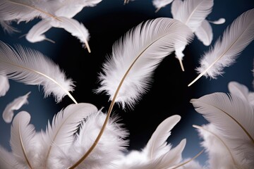 Obraz premium Floating White Feathers in Zero Gravity with a Soft and Airy Aesthetic