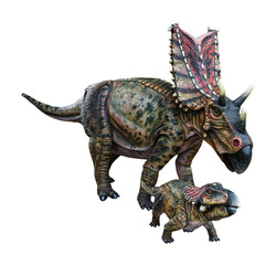 Mother Chasmosaurus and baby Chasmosaurus are herbivore genus of ceratopsid dinosaurs from the...