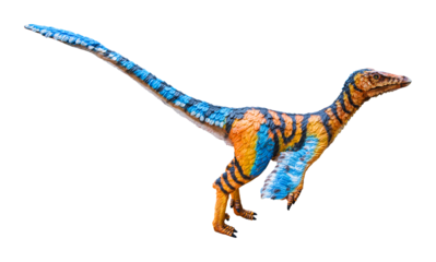 Troodon is a carnivorous dinosaur genus. Troodon is like a bird and lived in the Cretaceous period. Troodon has a transparent background.