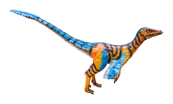 Troodon is a carnivorous dinosaur genus. Troodon is like a bird and lived in the Cretaceous period. Troodon has a transparent background.
