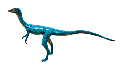 Procompsognathus is a carnivore of the coelophysid theropod dinosaur that lived later in the Triassic Period. Procompsognathus has a transparent background.