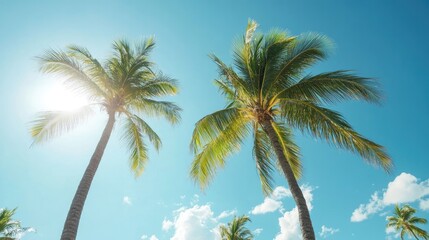 Palm trees swaying in the breeze on a tropical beach, with clear blue skies above.