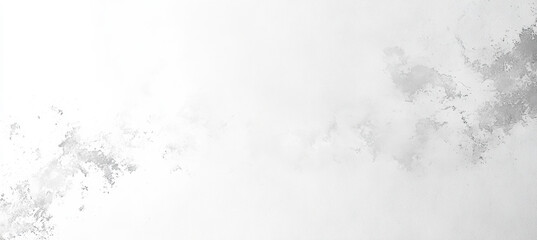 Minimalist White and Gray Design
