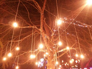 Festival of light in Kaliurang. festival of lights at the end of every year.