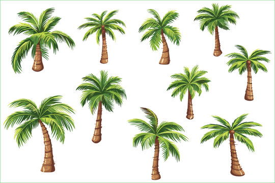 Palm Tree Clip Art