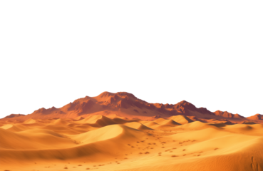 desert in the desert