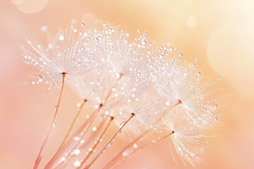 Fantasy close-up of a dandelion with soft morning sunlight after rain, pastel colors