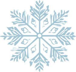 Snowflake Illustration
