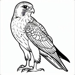 Obraz premium alcon children coloring book