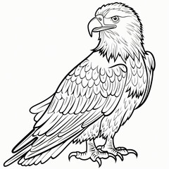 Fototapeta premium Eagle children coloring book page