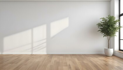 Empty room with white wall and wooden floor