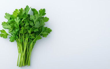 Fototapeta premium Fresh and vibrant bunch of parsley, perfect for enhancing the flavor of various dishes and adding a pop of color to meals.
