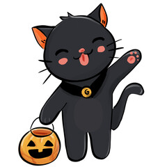Halloween cat with pumpkin