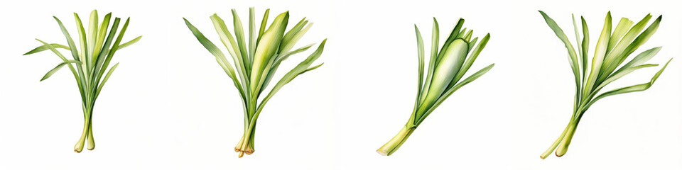 Obraz premium Fresh green leeks arranged in various positions, showcasing their vibrant color and texture. image conveys sense of freshness and vitality. 