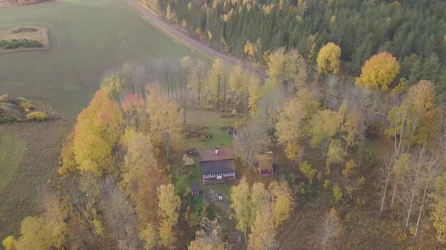 Aerial view of colorful autumn forest and tranquil countryside with winding road, Nykoping, Sweden.