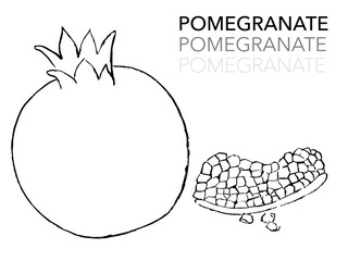 hand drawn illustration of pomegranate, doodles of pomegranate