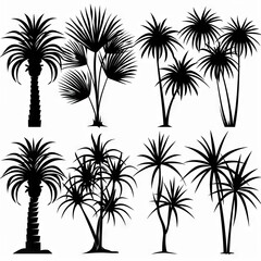 Fototapeta premium Dracaena Pot Plant Icon Set, Dracaena Plant Flat Design, Abstract Dracaena Symbol, Simple Pot Flower