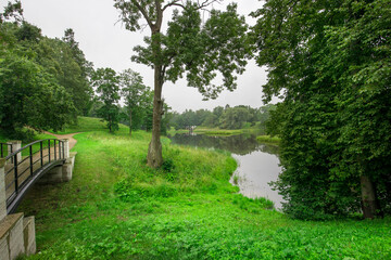 A park with a bridge over a river and a tree in the foreground