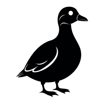 Parakeet auklet Black silhouette isolated on a white background, Duck silhouettes, vector collection