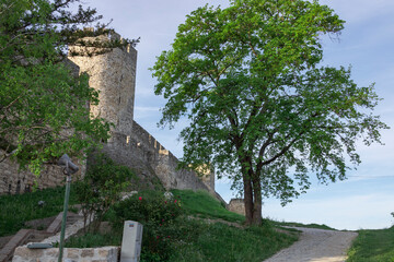 A tree is growing next to a castle