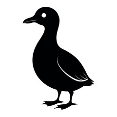 Parakeet auklet Black silhouette isolated on a white background, Duck silhouettes, vector collection