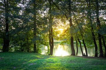 Naklejka premium A beautiful sunny day in a park with a lake in the background