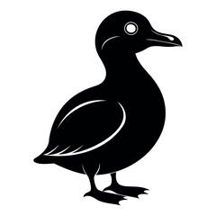 Parakeet auklet Black silhouette isolated on a white background, Duck silhouettes, vector collection