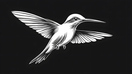 Obraz premium A bird in flight captured in black and white against a black background: ideal for sophisticated mockup designs and impactful presentations.