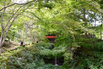 京都 大原三千院