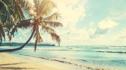 Fototapeta premium Palm Tree on Tropical Beach