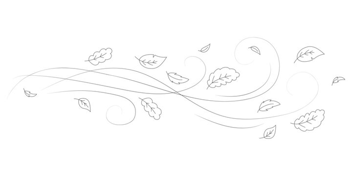 Doodle autumn leaves flying in the wind. Falling season outline backdrop, air flow leaves wave linear pattern or wind blowing doodle vector print. Autumn windy weather hand drawn monochrome background