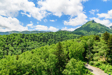 層雲峡黒岳山麓を歩く
