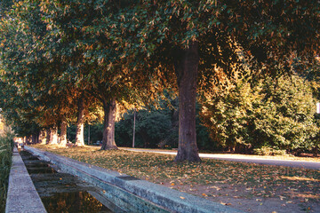 beautiful sunny day in the park, klenzepark, ingolstadt