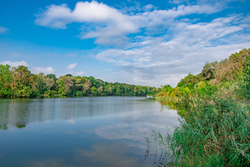 Ingolstadt, Auwaldsee, schöner Sommerblick im Park am See