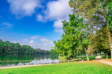 Fototapeta premium Ingolstadt, Auwaldsee, schöner Sommerblick im Park am See