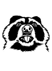 Funny Raccoon Illustration, Guitarist Trashy Animal Clipart, Fat Trash Cat Stencil, Cool Dad Shirt Vector, Tongue Out Bleh