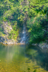 Obraz premium A tranquil waterfall cascading down a rocky cliff into a calm pool, surrounded by vibrant green vegetation. Sunlight filters through the foliage, creating a picturesque and peaceful natural scene.