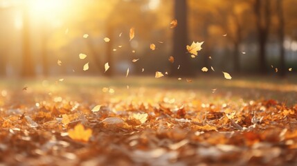 Naklejka premium Tranquil forest scene featuring golden autumn leaves gracefully falling onto the ground