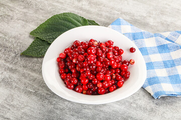 Ripe sweet wild organic cowberry