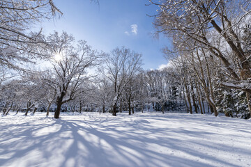 北海道の雪景色