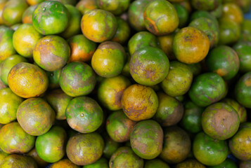Many tangerine fruits are on sale.