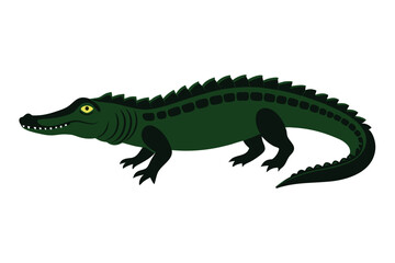 Fototapeta premiumCrocodile silhouette vector illustration. 