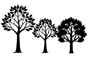 Obraz premium Set of trees silhouettes isolated on white background