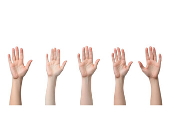 PNG Collection of diverse hands raised in various positions, symbolizing communication, expression, and connection.