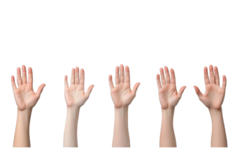 PNG Collection of diverse hands raised in various positions, symbolizing communication, expression, and connection.