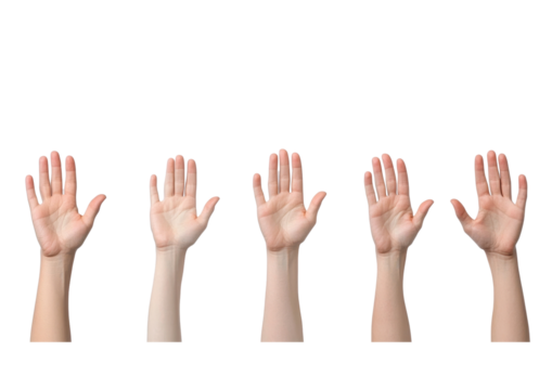 PNG Collection of diverse hands raised in various positions, symbolizing communication, expression, and connection.